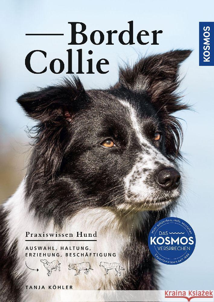 Border Collie Köhler, Tanja 9783440170038 Kosmos (Franckh-Kosmos)