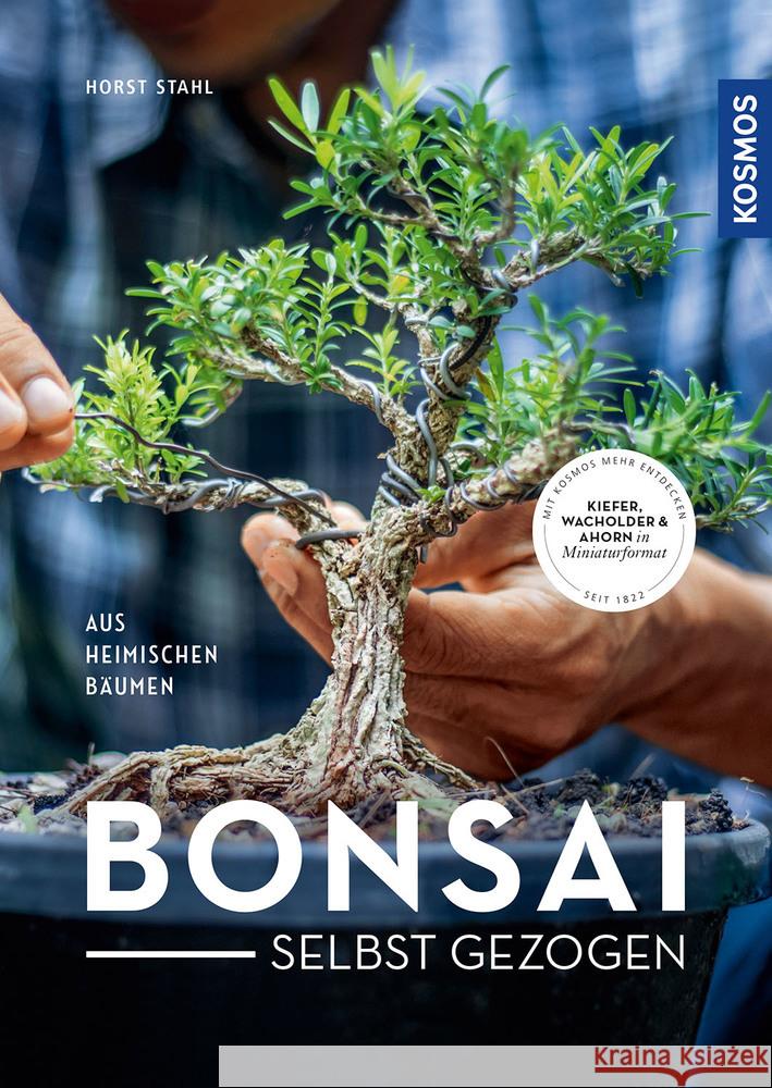 Bonsai - selbst gezogen Stahl, Horst 9783440170083