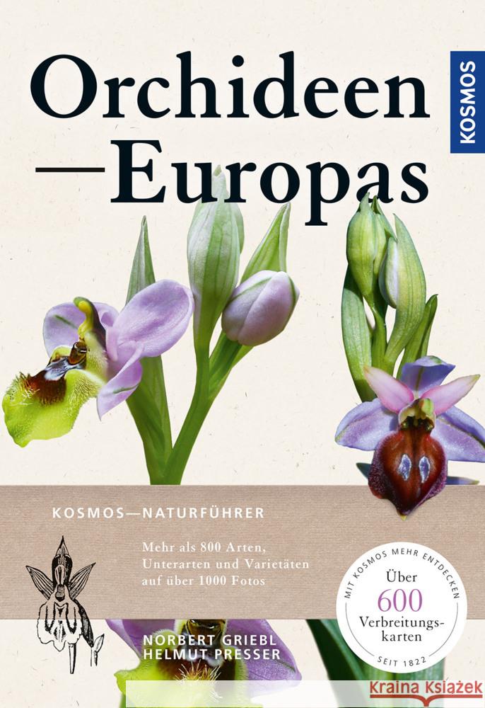 Orchideen Europas Griebl, Norbert, Presser, Helmut 9783440171004 Kosmos (Franckh-Kosmos)