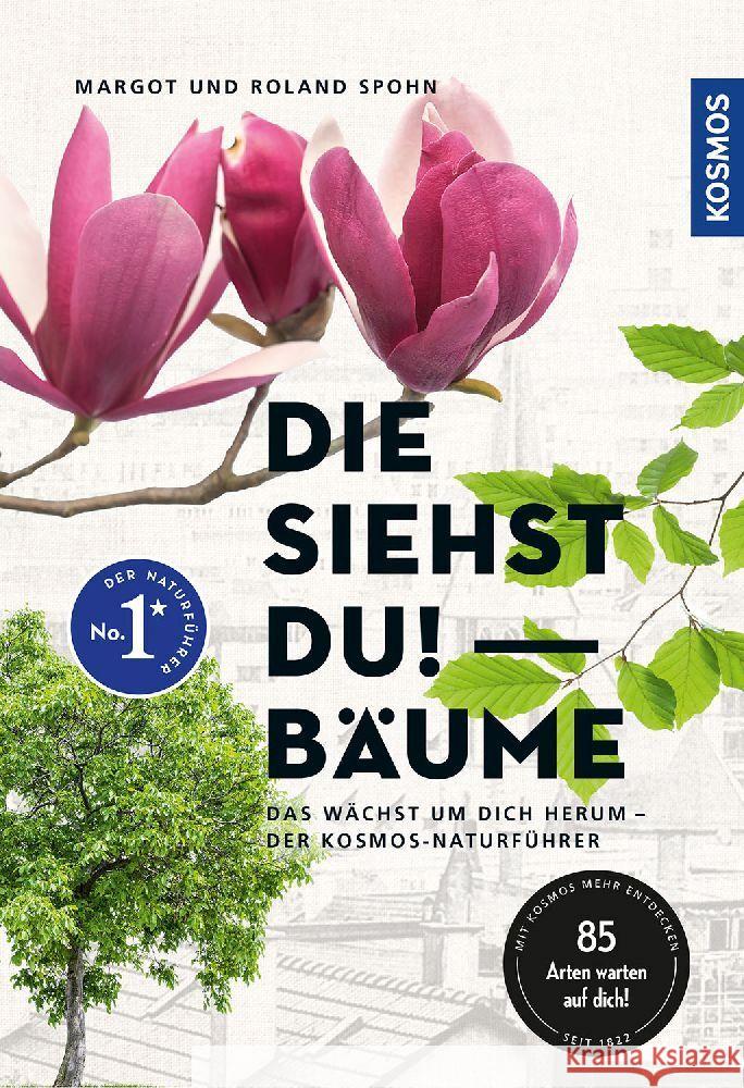 Die siehst du! Bäume Spohn, Margot 9783440171028