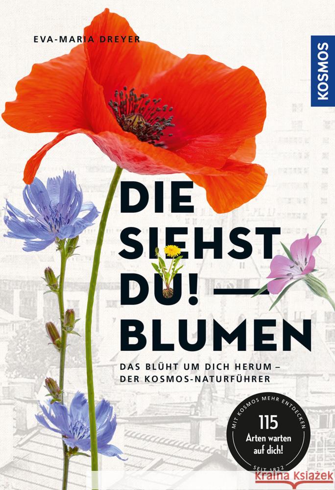 Die siehst du - Blumen Dreyer, Eva-Maria 9783440171066 Kosmos (Franckh-Kosmos)