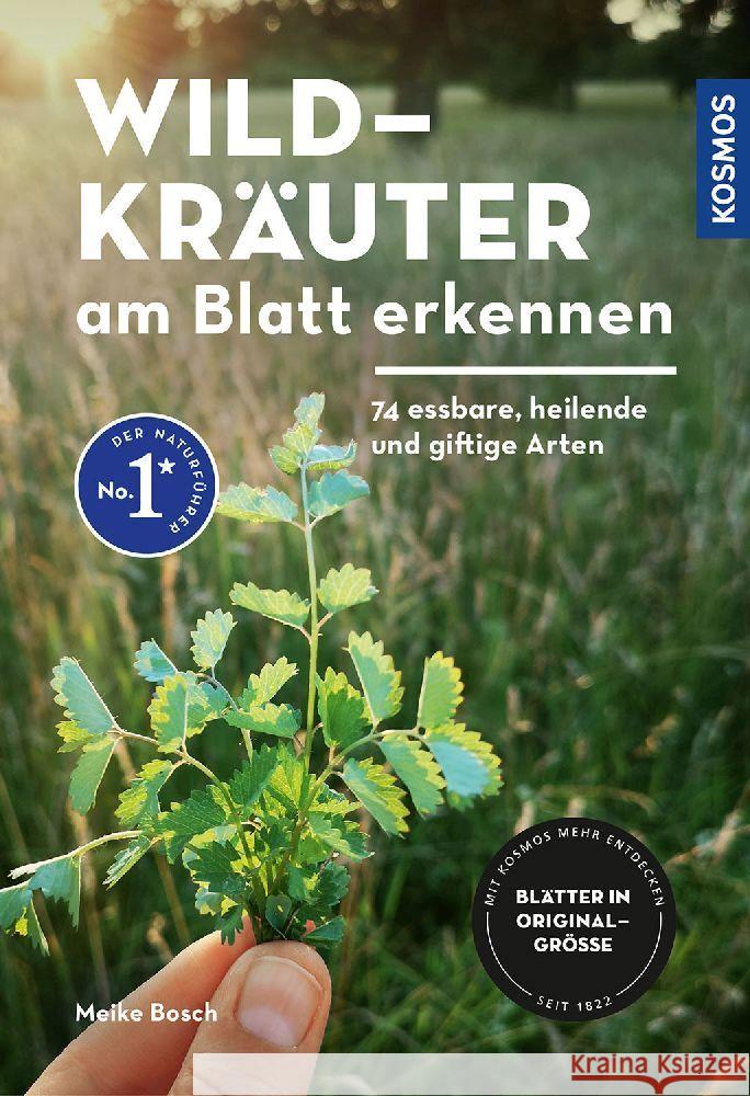 Wildkräuter am Blatt erkennen Bosch, Meike 9783440173855