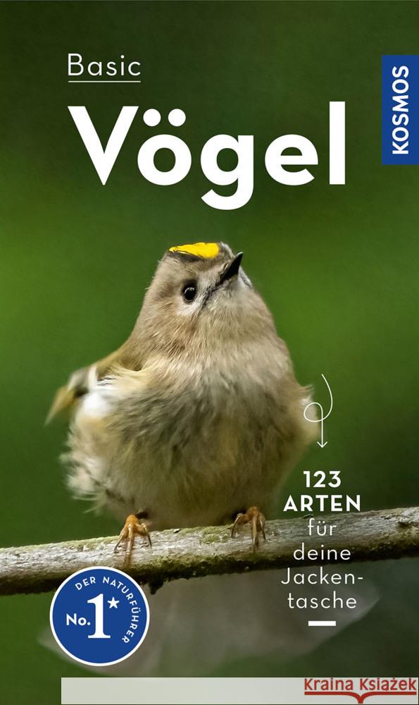BASIC Vögel Dierschke, Volker 9783440173930