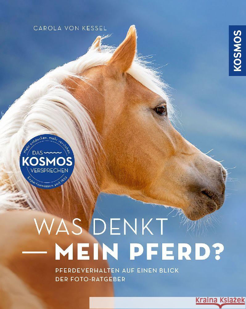 Was denkt mein Pferd? Kessel, Carola von 9783440174357