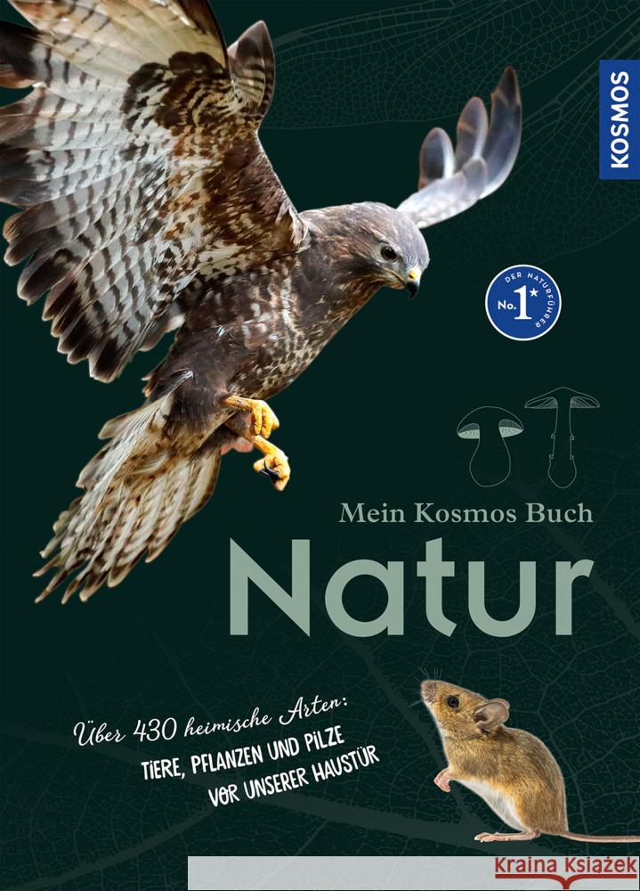 Mein Kosmos-Buch Natur Oftring, Bärbel 9783440174685