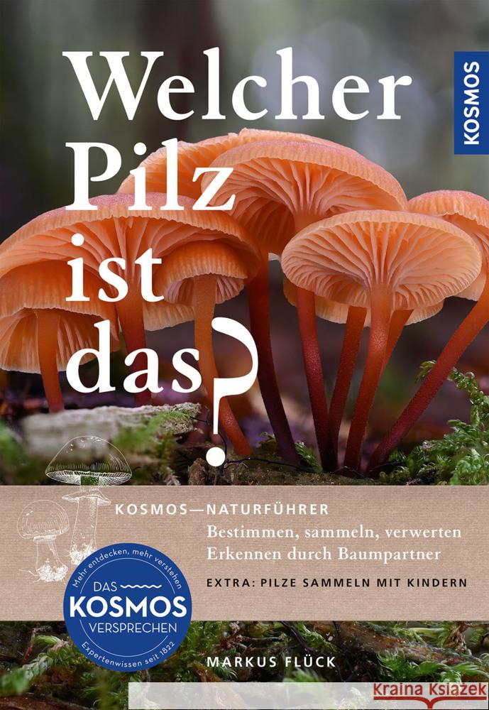 Welcher Pilz ist das? Flück, Markus 9783440174838 Kosmos (Franckh-Kosmos)