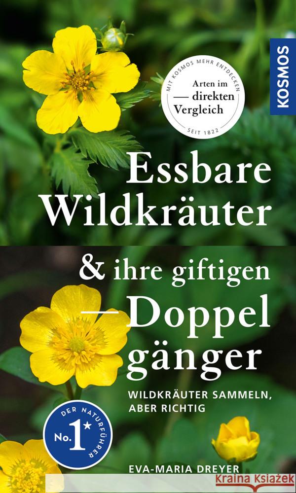 Essbare Wildkräuter und ihre giftigen Doppelgänger Dreyer, Eva-Maria 9783440176764