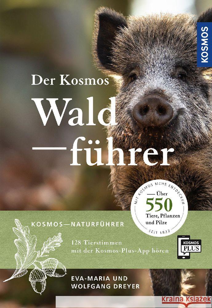 Der Kosmos Waldführer Dreyer, Eva-Maria, Dreyer, Wolfgang 9783440176801