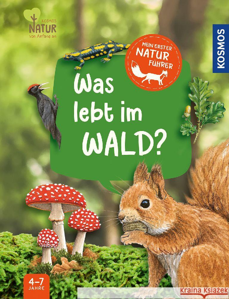 Mein erster Naturführer, Was lebt im Wald? Hiller, Julia, Walentowitz, Steffen 9783440178072 Kosmos (Franckh-Kosmos)