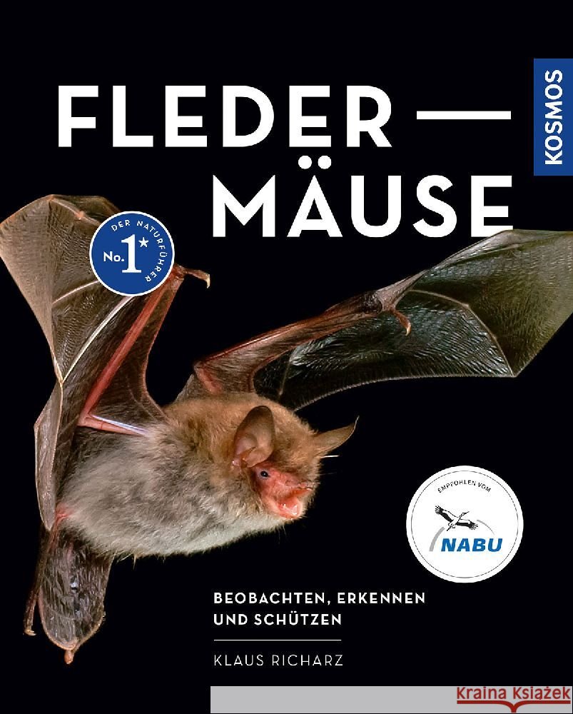 Fledermäuse Richarz, Klaus 9783440178478