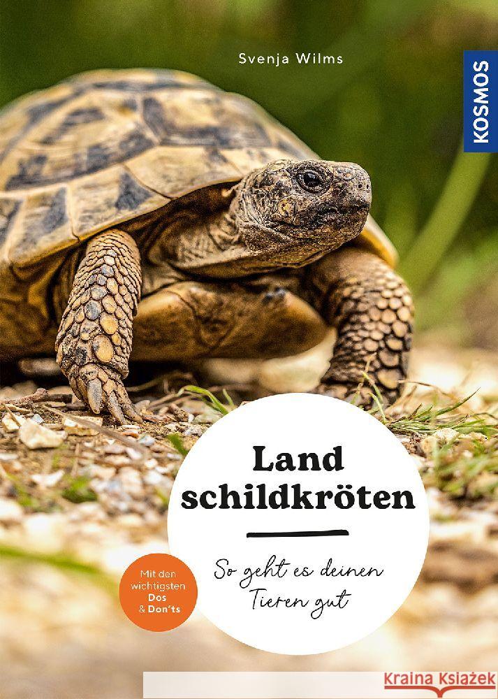 Landschildkröten Wilms, Svenja 9783440178485