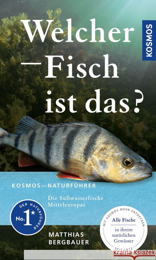 Welcher Fisch ist das? Bergbauer, Matthias 9783440179796