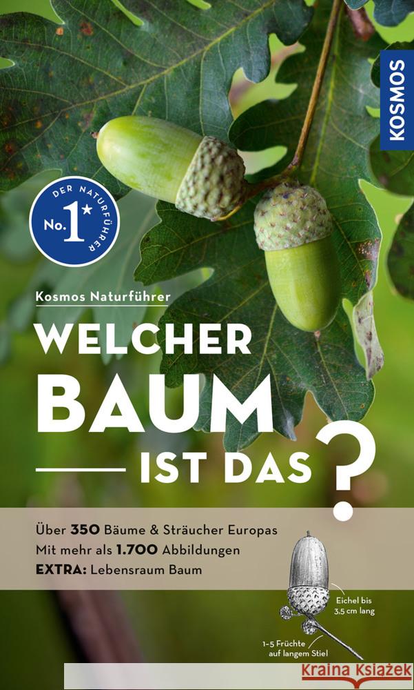 Welcher Baum ist das? Spohn, Margot, Spohn, Roland 9783440180013