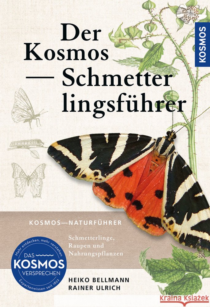 Der Kosmos Schmetterlingsführer Bellmann, Heiko, Ulrich, Rainer 9783440180716