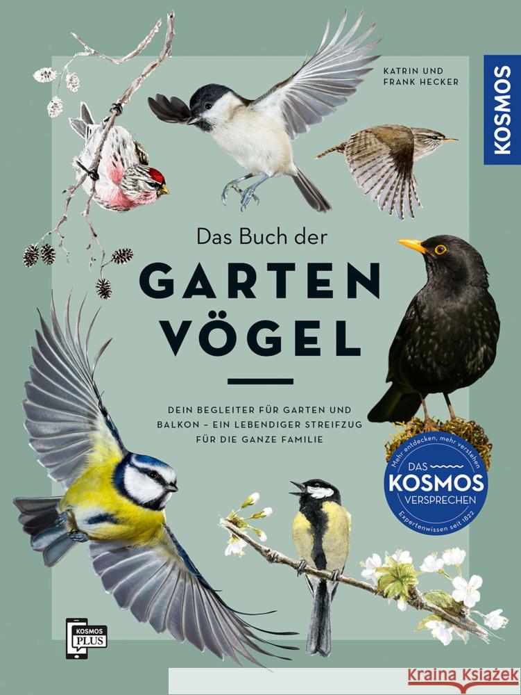 Das Buch der Gartenvögel Hecker, Katrin, Hecker, Frank, Kelsch, Henrike 9783440180761