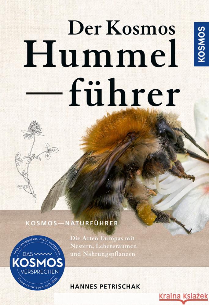 Der KOSMOS Hummelführer Petrischak, Dr. Hannes 9783440181805