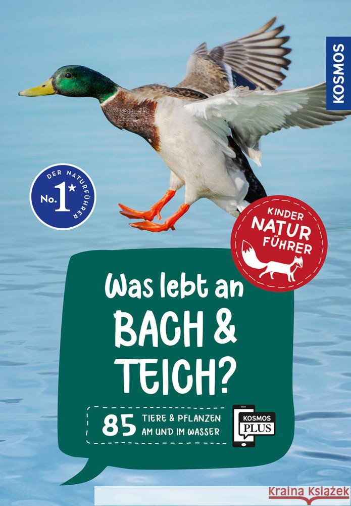 Was lebt an Bach und Teich? Kindernaturführer Saan, Anita van 9783440182116 Kosmos (Franckh-Kosmos)