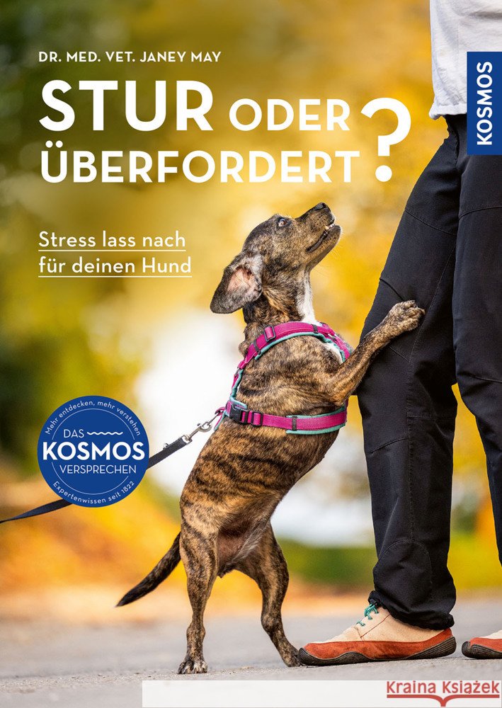 Stur oder überfordert? May, Janey 9783440182871