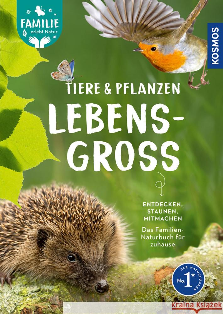 Tiere und Pflanzen lebensgroß Strauß, Daniela, Petrischak, Dr. Hannes, Haag, Holger 9783440184486