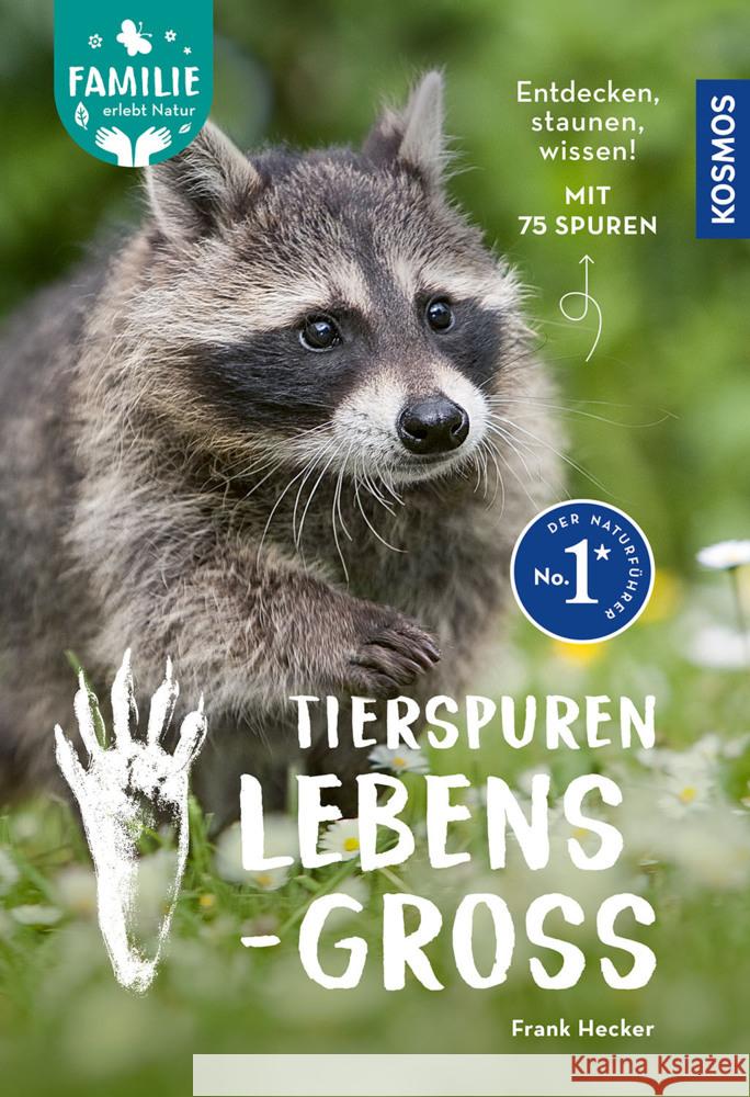 Tierspuren lebensgroß Hecker, Frank 9783440185643