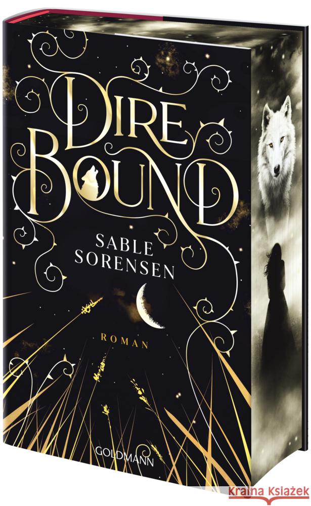 Dire Bound Sorensen, Sable 9783442302437