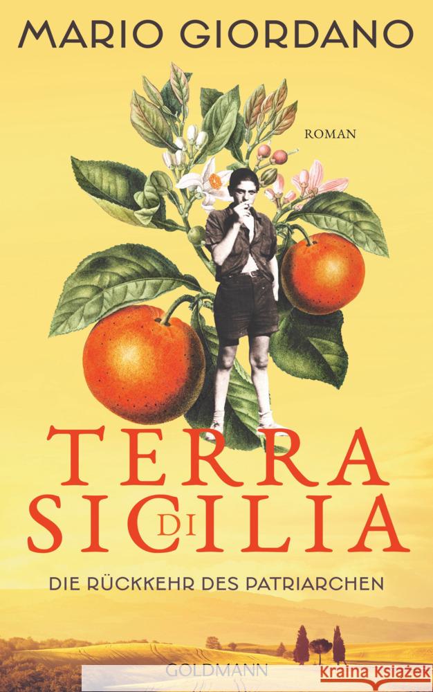 Terra di Sicilia. Die Rückkehr des Patriarchen Giordano, Mario 9783442315604 Goldmann