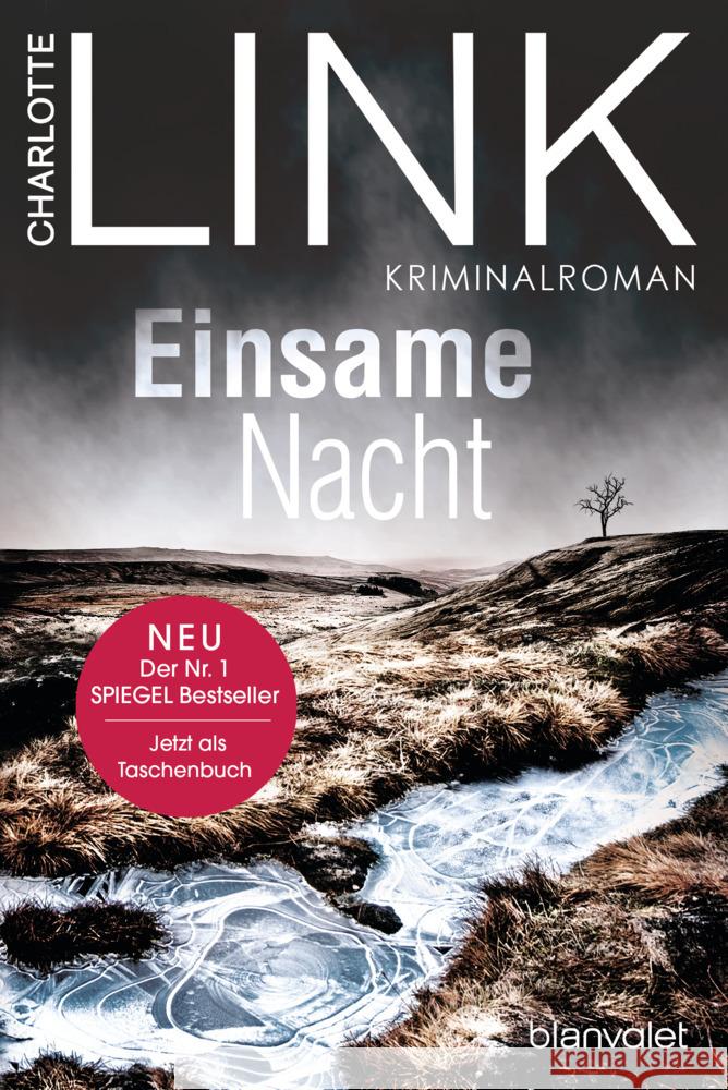 Einsame Nacht Link, Charlotte 9783442379200