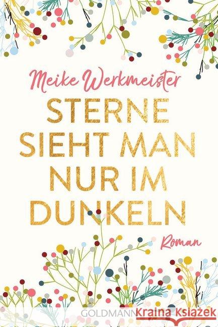 Sterne sieht man nur im Dunkeln : Roman Werkmeister, Meike 9783442487875