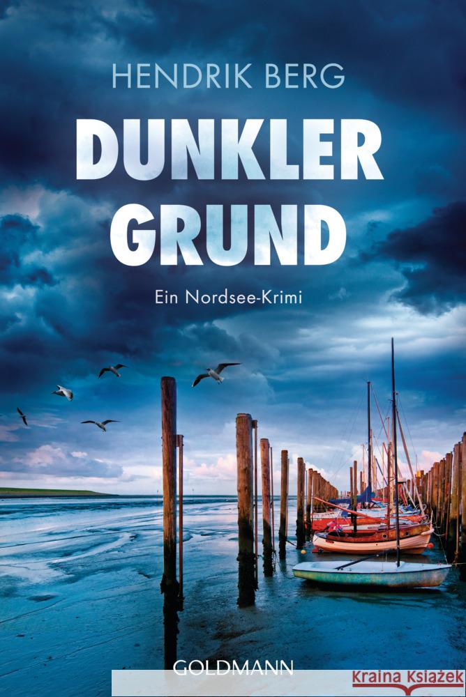 Dunkler Grund Berg, Hendrik 9783442491896 Goldmann