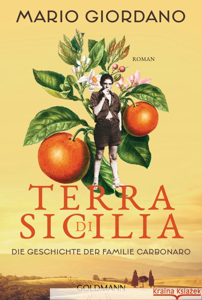 Terra di Sicilia. Die Geschichte der Familie Carbonaro Giordano, Mario 9783442494217 Goldmann