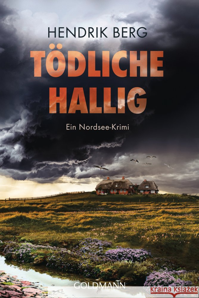 Tödliche Hallig Berg, Hendrik 9783442497362