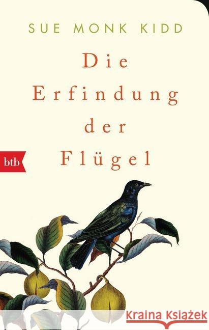 Die Erfindung der Flügel : Roman. Geschenkausgabe Kidd, Sue Monk 9783442717071