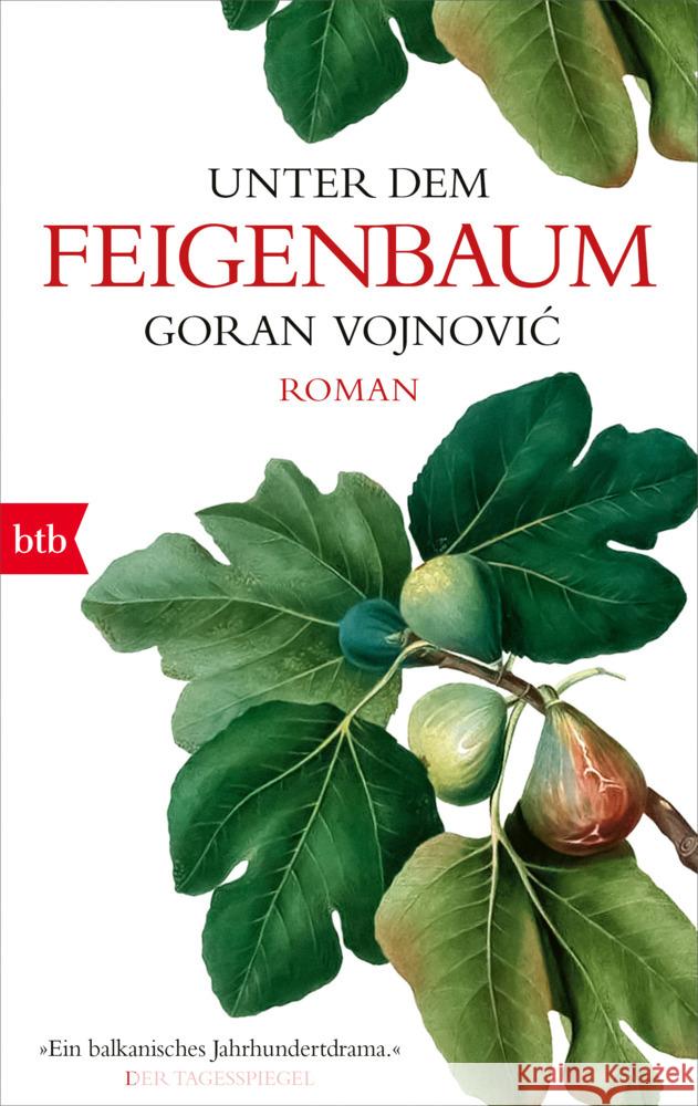 Unter dem Feigenbaum Vojnovic, Goran 9783442719228 btb