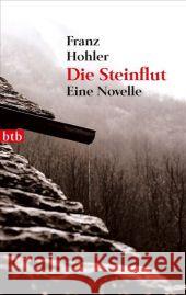 Die Steinflut : Eine Novelle Hohler, Franz 9783442742691