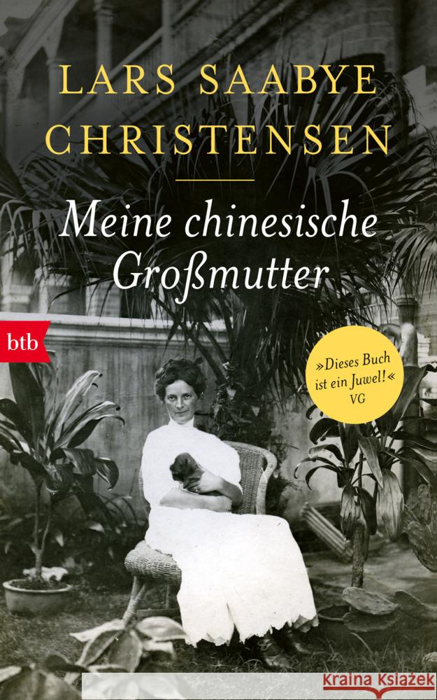 Meine chinesische Großmutter Christensen, Lars Saabye 9783442762750