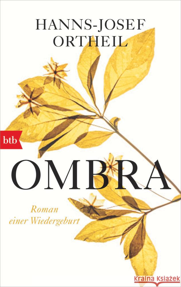 OMBRA Ortheil, Hanns-Josef 9783442772698 btb