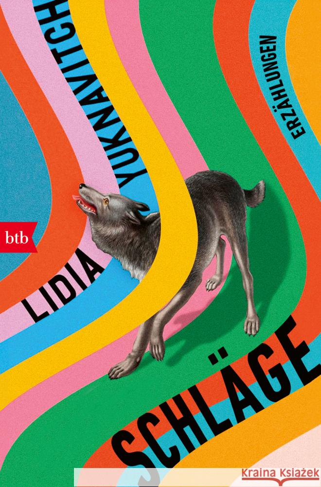 Schläge Yuknavitch, Lidia 9783442773077