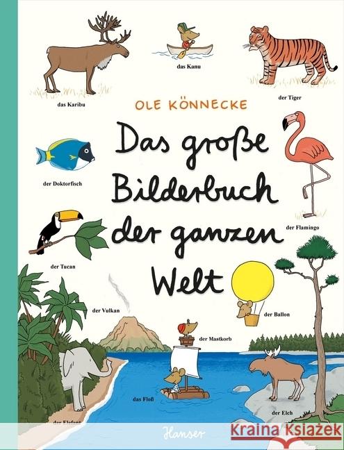 Das große Bilderbuch der ganzen Welt Könnecke, Ole 9783446242999 Hanser