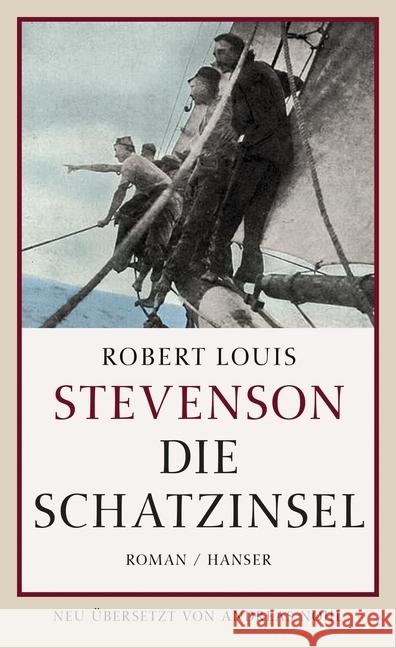 Die Schatzinsel : Roman Stevenson, Robert Louis 9783446243460