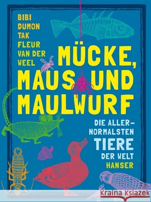 Mücke, Maus und Maulwurf : Die allernormalsten Tiere der Welt Dumon Tak, Bibi 9783446250802 Hanser