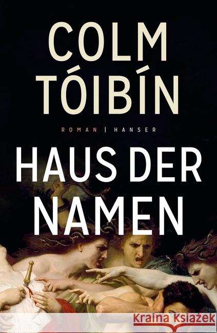 Haus der Namen : Roman Tóibín, Colm 9783446261815