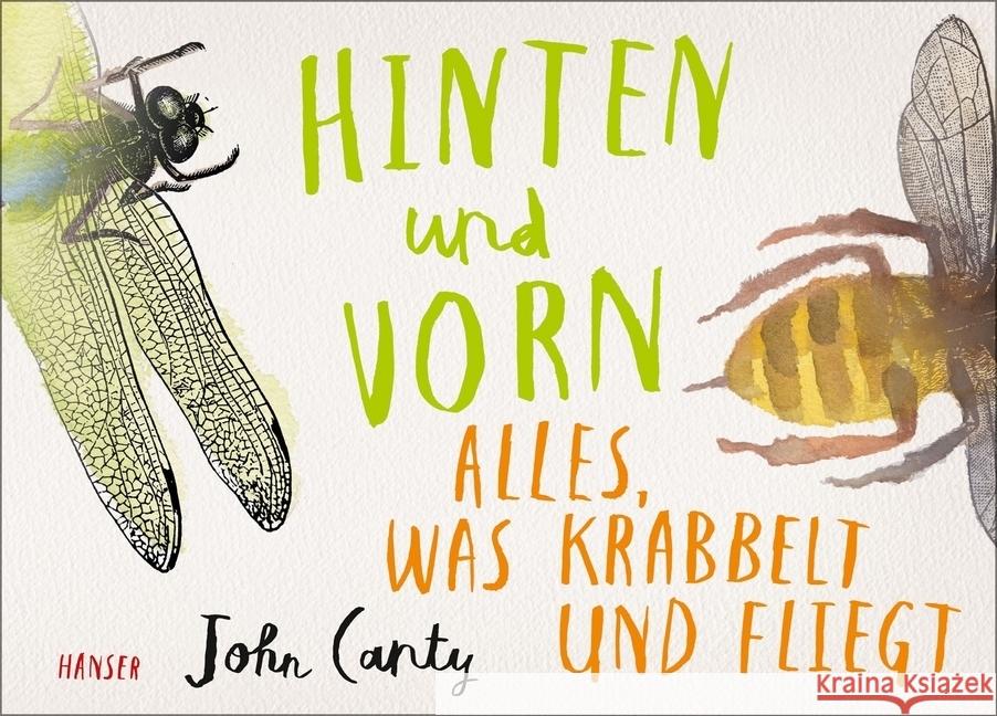 Hinten und vorn - Alles, was krabbelt und fliegt Canty, John 9783446262089