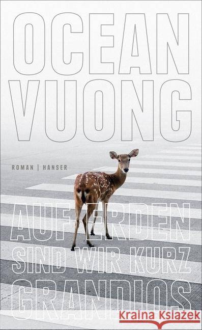 Auf Erden sind wir kurz grandios : Roman Vuong, Ocean 9783446263895