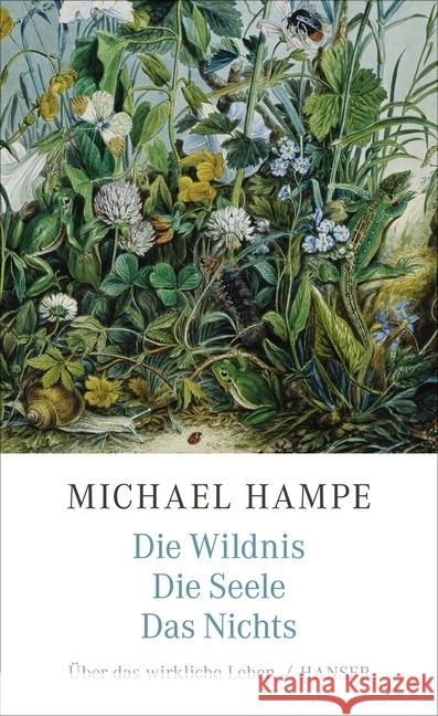 Die Wildnis, die Seele, das Nichts : Über das wirkliche Leben Hampe, Michael 9783446265776