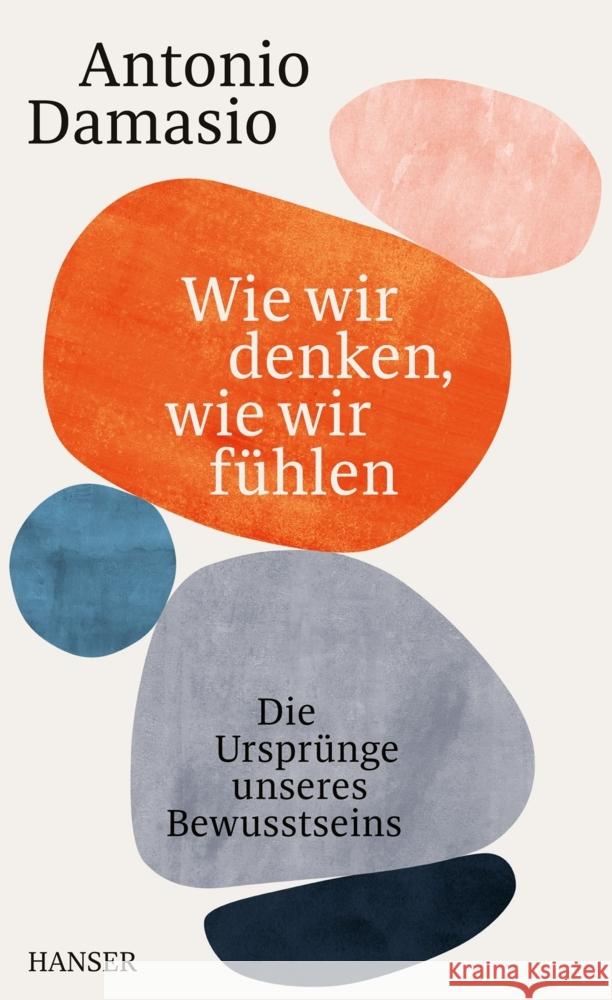 Wie wir denken, wie wir fühlen Damasio, Antonio 9783446270947