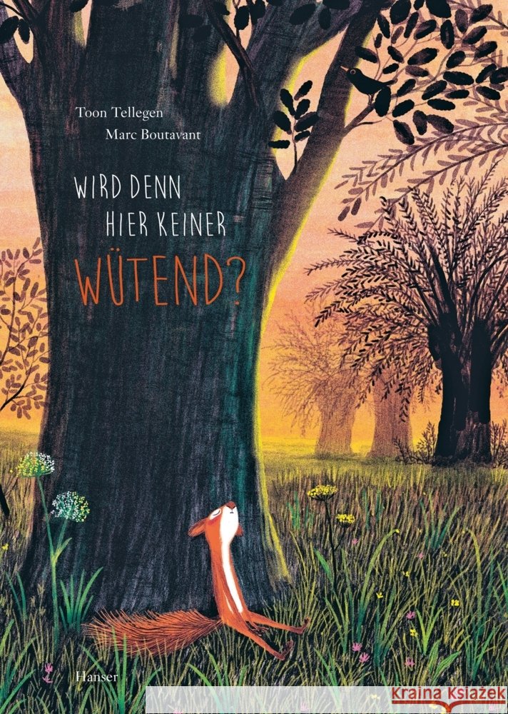 Wird denn hier keiner wütend? Tellegen, Toon, Boutavant, Marc 9783446271265