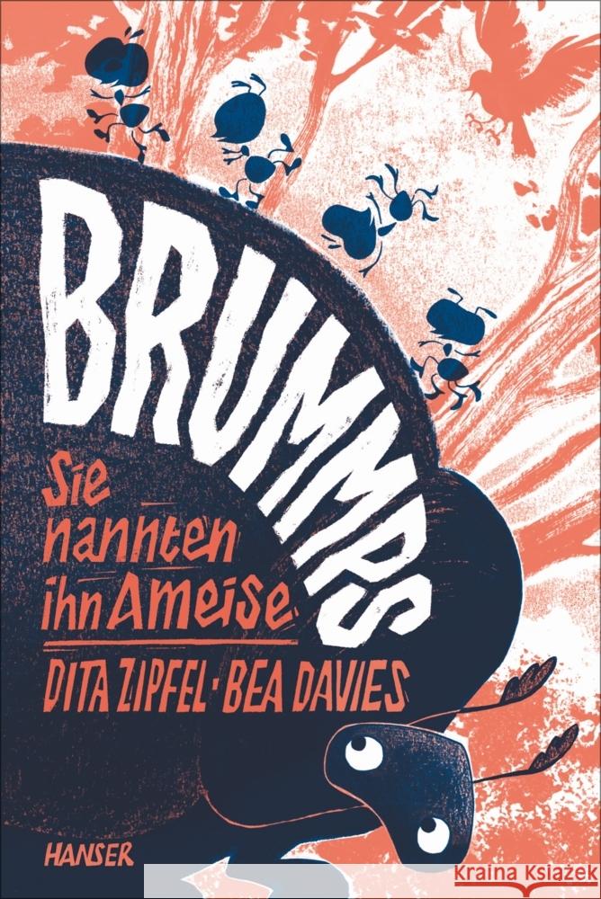 Brummps Zipfel, Dita, Davies, Bea 9783446272552 Hanser