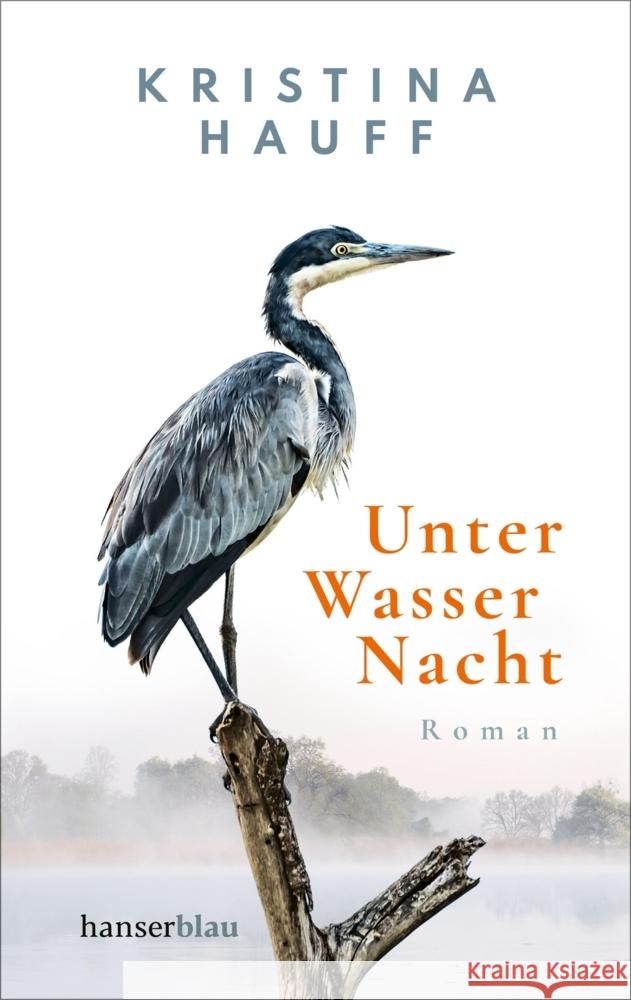 Unter Wasser Nacht Hauff, Kristina 9783446272880 hanserblau