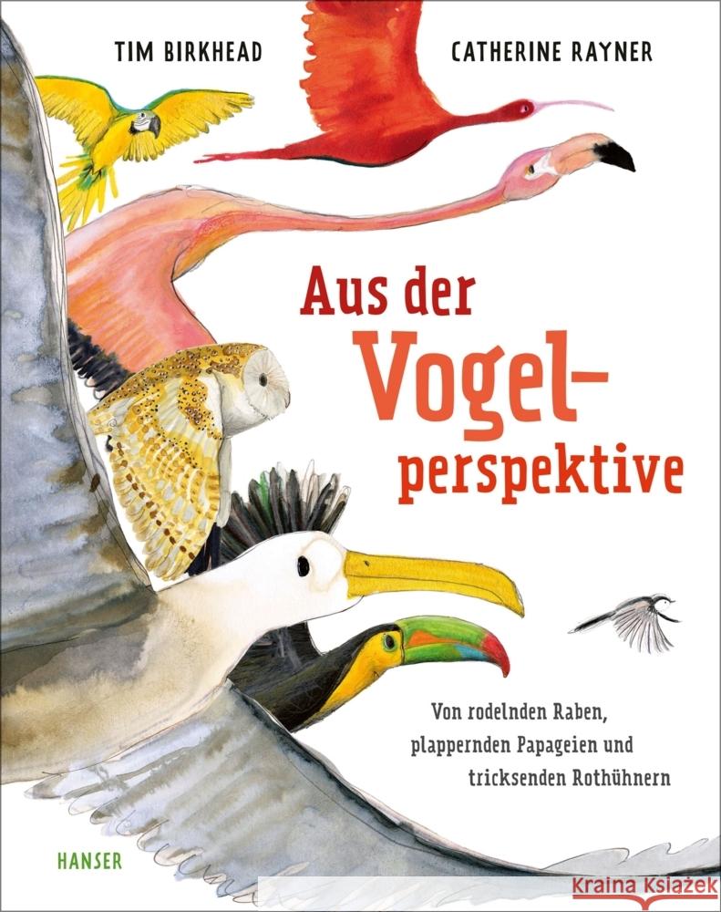 Aus der Vogelperspektive Birkhead, Tim, Rayner, Catherine 9783446276499