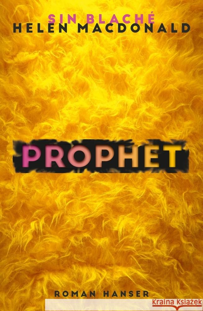 Prophet Blaché, Sin, Macdonald, Helen 9783446277557 Hanser